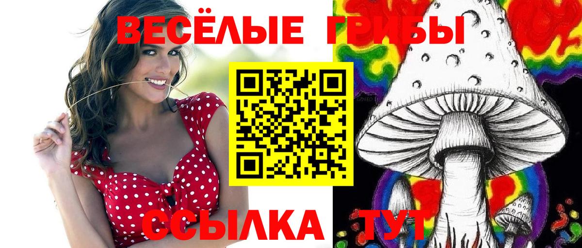 Псилоцибиновые грибы Magic Shrooms  Вход с VPN  Чебоксары 