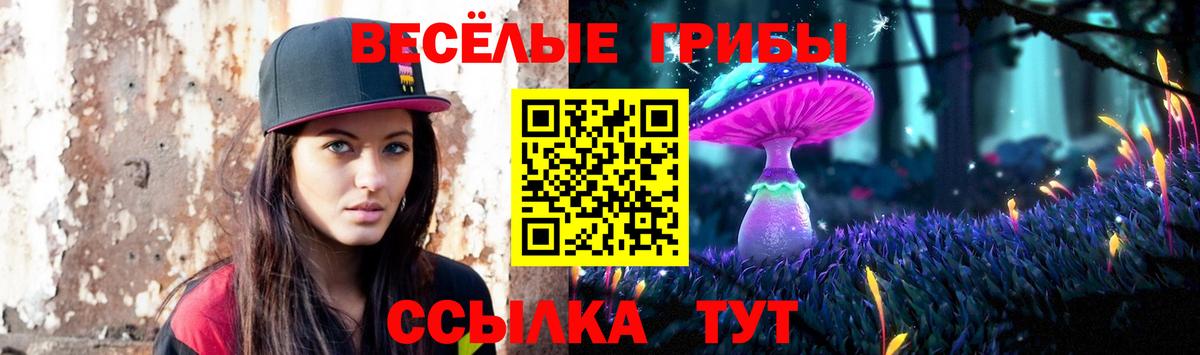 Псилоцибиновые грибы Psilocybe Чебоксары